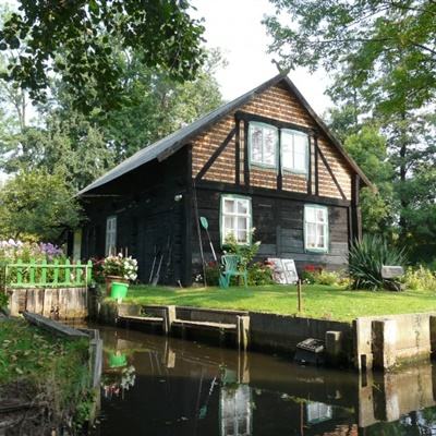 大发黄金版app下载手机app下载