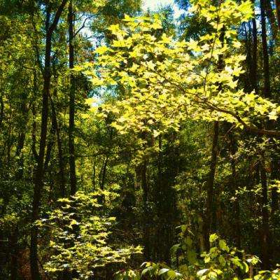 奇异果体育截图